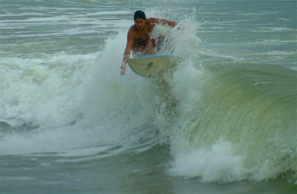 (28) Dscf3850 (bushfish - morning surf 1).jpg   (1000x653)   192 Kb                                    Click to display next picture